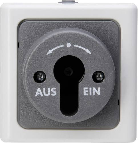 Kopp BlueElectric Schlüsselschalter Feuchtraum-Schalterprogramm Grau IP44 Aufputz-Montage - Bild 1
