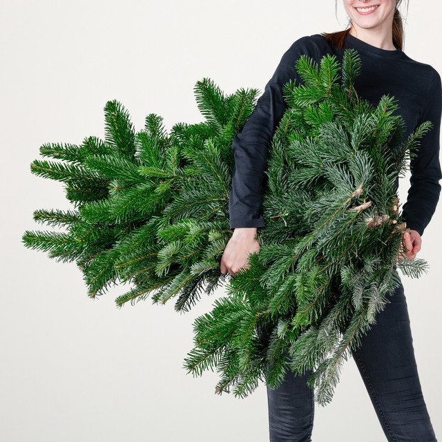 BLUME2000 Nordmanntanne bunch green 5 kg - Bild 1