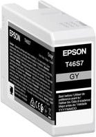 Epson T46S7 Original Tintenpatrone Grau für SureColor SC-P700, 25 ml - Bild 1