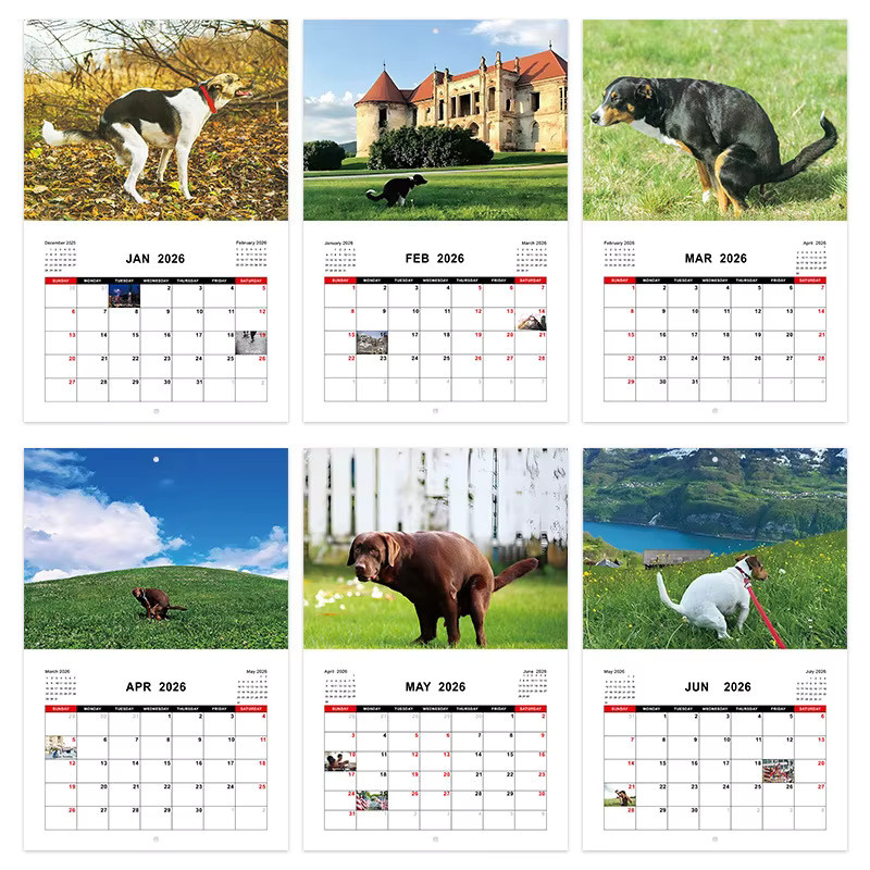 2026 Wandkalender mit lustigen Hundemotiven, Monatsplaner und Organizer in Mehrfarbig - Bild 2