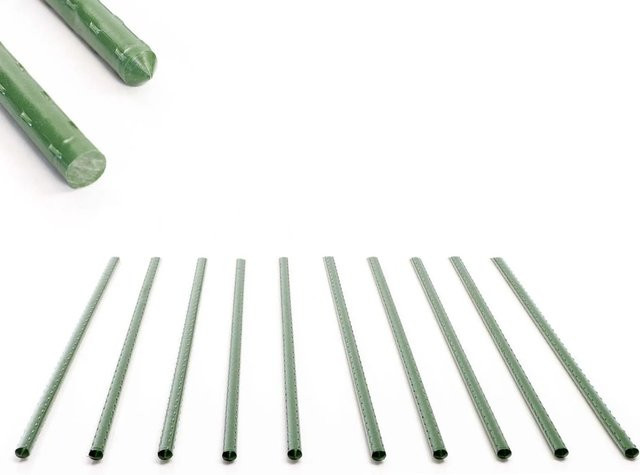 Toboli Pflanzstäbe Grün 10er Set aus Metall und Kunststoff für Gemüse und Kletterpflanzen, Höhe: 60 cm, Durchmesser: 8 mm - Bild 1
