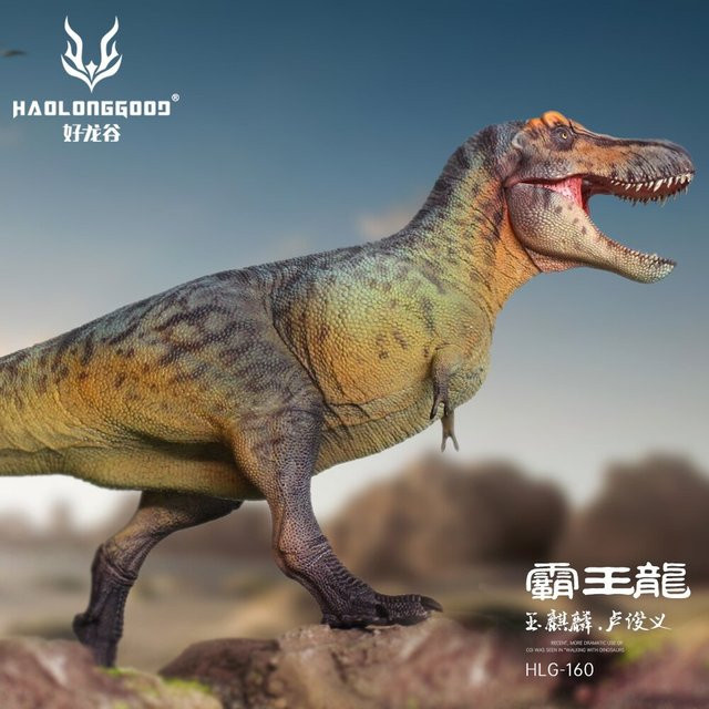 HAOLONGGOOD Tyrannosaurus Rex Dinosaurier-Modell, Maßstab 1:35, Sammlerskulptur - Bild 1