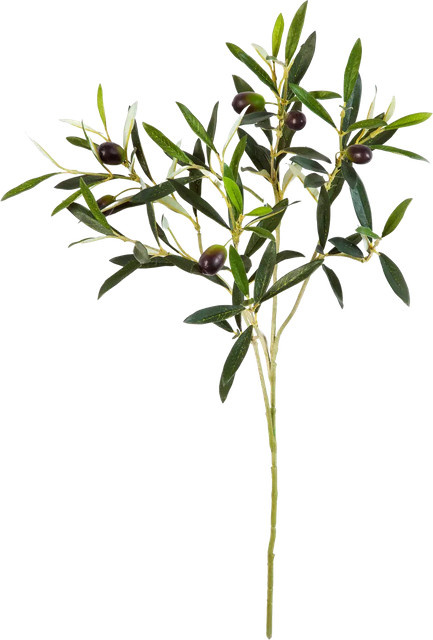 Aplanta Künstlicher Olivenbaum-Zweig Gerd, Höhe: 50 cm - Bild 1