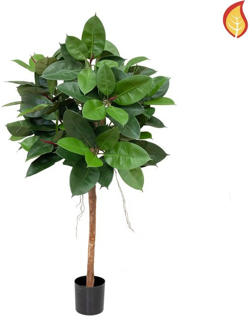 Künstlicher Gummibaum Carsten von Aplanta, Höhe: 90 cm - Bild 1