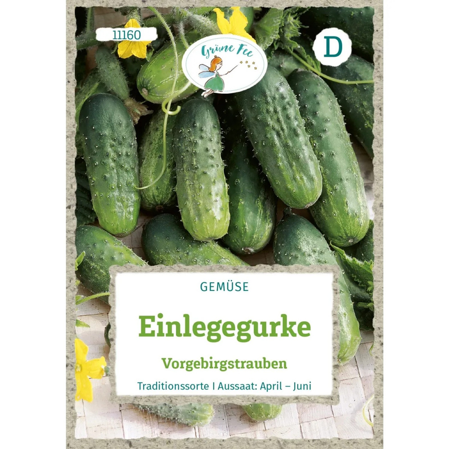 Grüne Fee Einlegegurke Vorgebirgstrauben Saatgut für den Freilandanbau - Bild 2