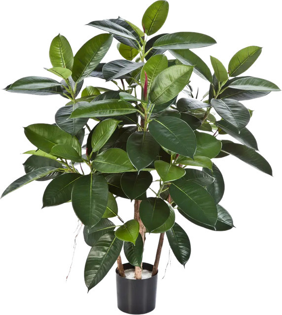 Künstlicher Gummibaum Laura von Aplanta, Höhe: 90 cm - Bild 1