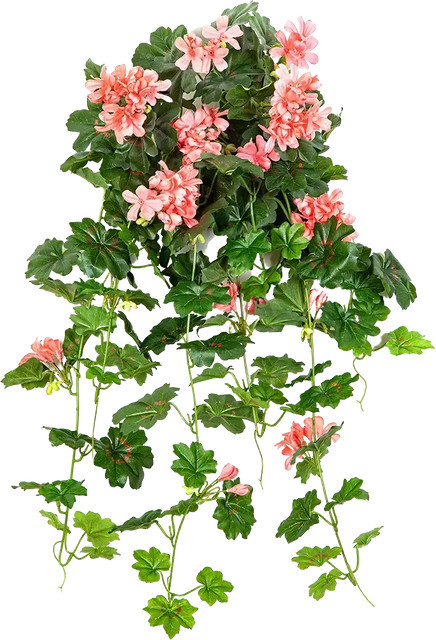 Künstliche Hänge-Geranie Adam von Aplanta, Höhe: 72 cm - Bild 1