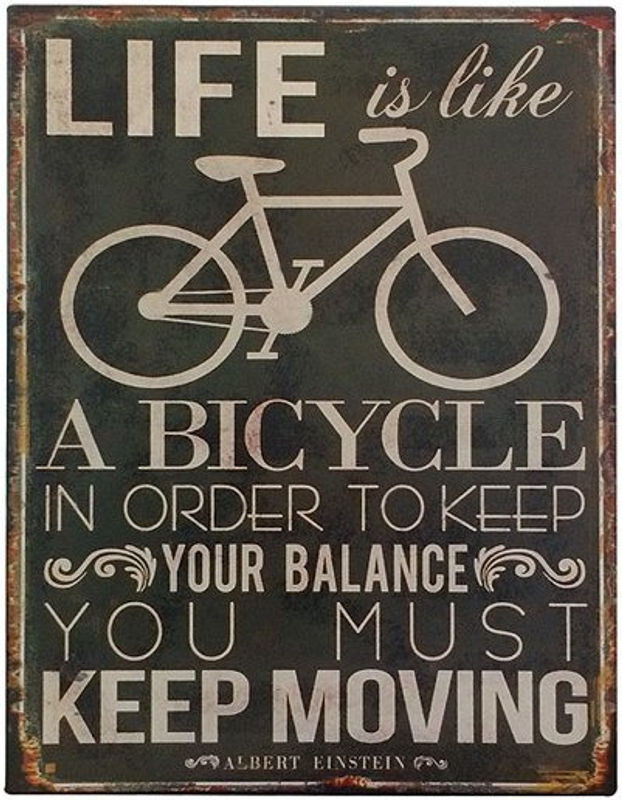 Vintage Blechschild Albert Einstein Life is like a bicycle Typografie in Schwarz, B: 25 cm, H: 33 cm - Bild 1