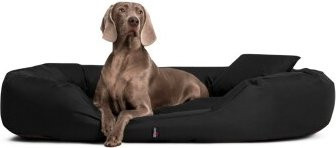 Tierlando Orthopädisches Hundebett SAMMY in Schwarz mit abnehmbarem Bezug und erhöhter Umrandung, B/T/H: 140 x 105 x 30 cm - Bild 1