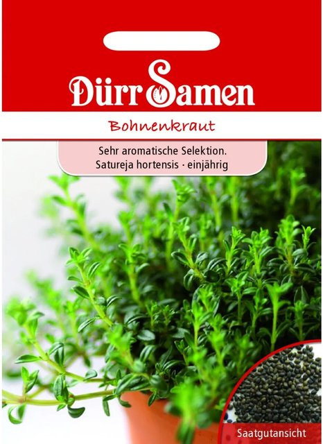 Dürr Bohnenkraut Saatgut 500 g - Bild 1