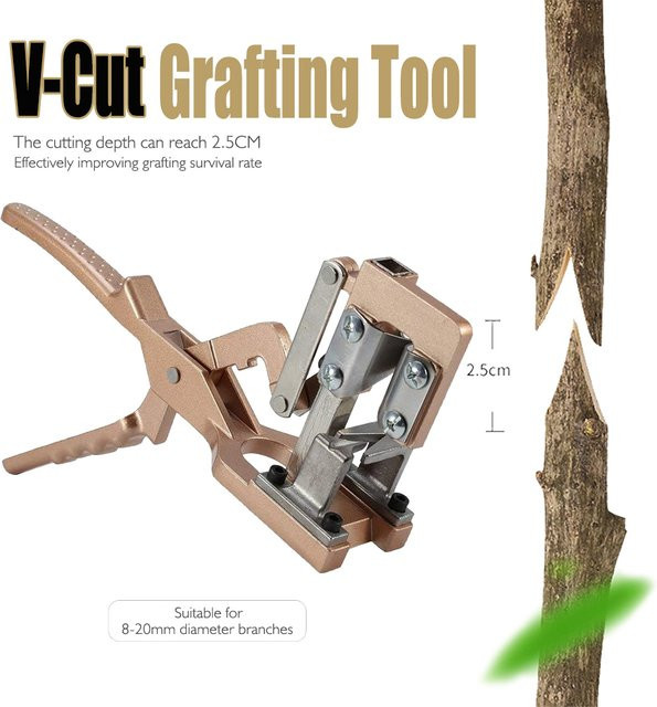 Gartenschere mit V-Schnitt als Pfropfschere für Obstbäume in Beige mit einer Schnitttiefe von 2,5 cm - Bild 1