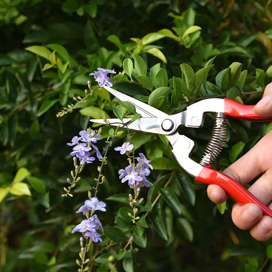 Gartenschere aus Metall in Rot für Bonsai, Obst und Unkraut als manuelles Schneidwerkzeug - Bild 3