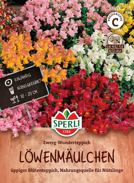 SPERLI Löwenmäulchen-Samen Zwerg-Wunderteppich bunt - Bild 1