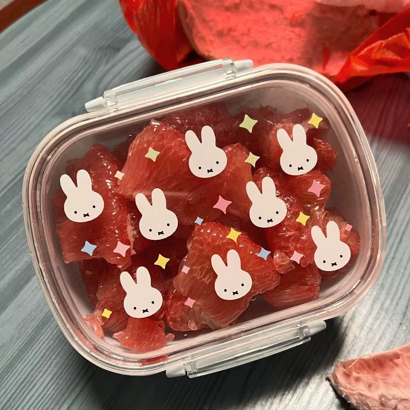 Miffy Lunchbox aus transparentem Material mit auslaufsicherem Deckel für Obst und Lebensmittel - Bild 3