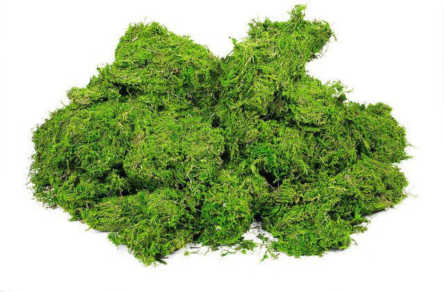 VBS Moos Block in Grün, 1 kg - Bild 1