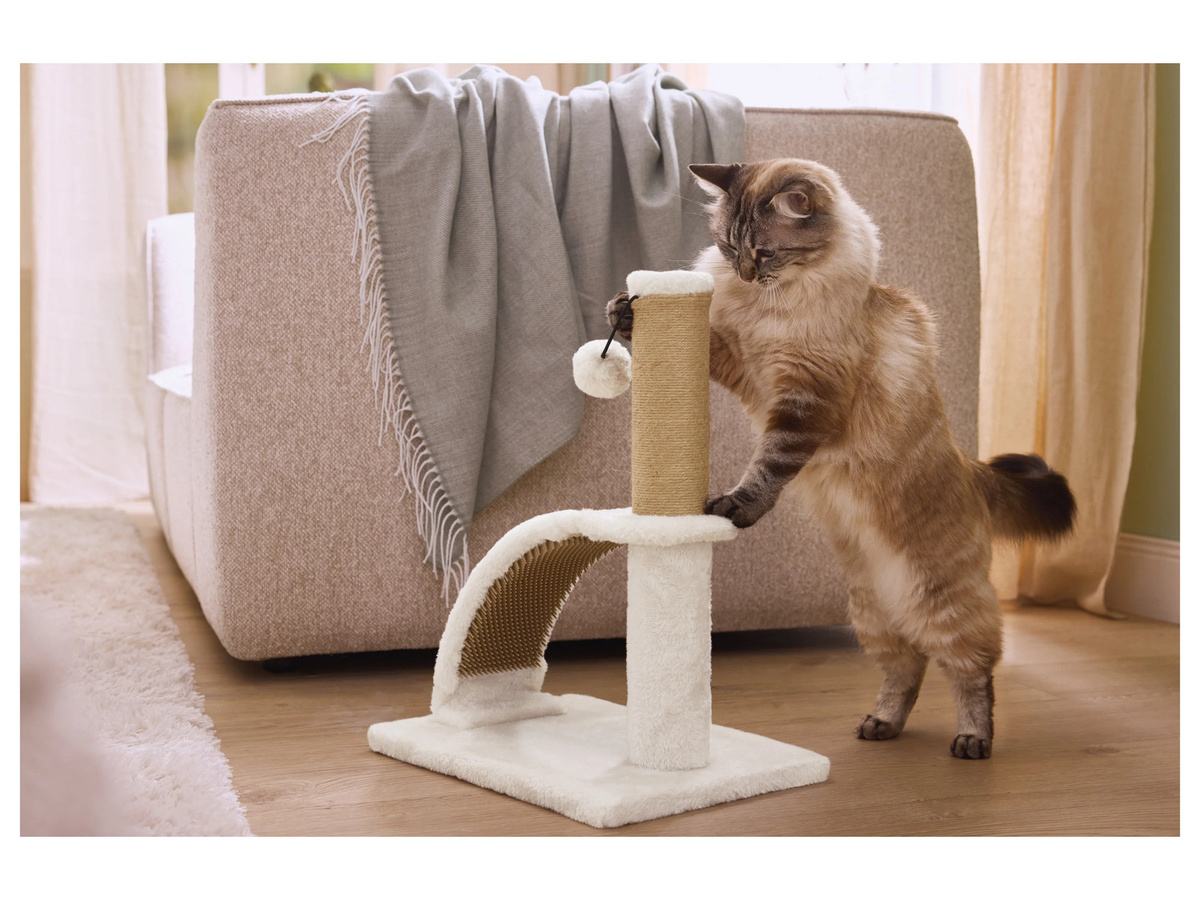 ZOOFARI Katzen Kratzstamm mit Massageelementen und integriertem Spielzeug aus Plüsch und Jute, Höhe: 43,5 cm - Bild 2