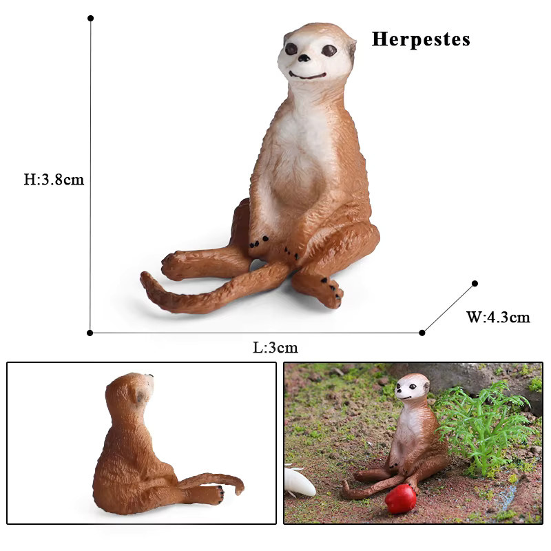 Oenux Simulation Wilde Tierfiguren, Wüsten-Meerkatze Otter Nutria, Actionfiguren - Bild 2