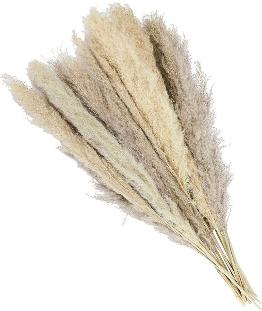 15 Stück CosyHome Kunstschilf Pampas in Beige für deine Hochzeits- und Heimdekoration - Bild 1