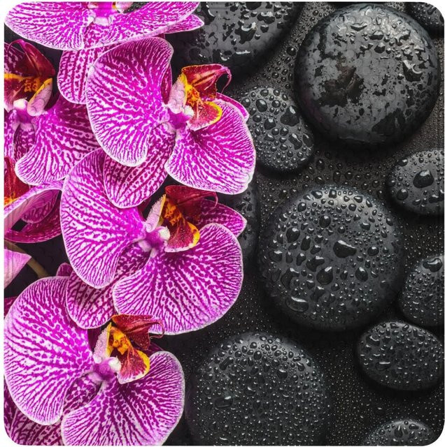 Sanilo Badematte Madeira Schwarz Quadratisch B/B: 53 x 53 cm - Bild 3