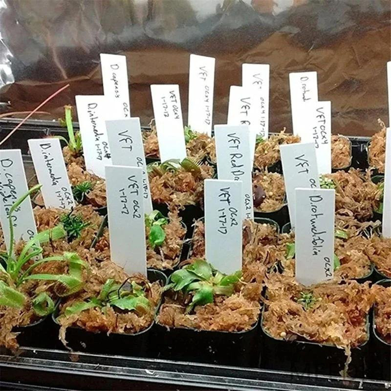 3C Base Pflanzenetiketten Set mit Permanentmarker, 100 Stück weiße Samenetiketten aus Kunststoff für den Garten - Bild 2