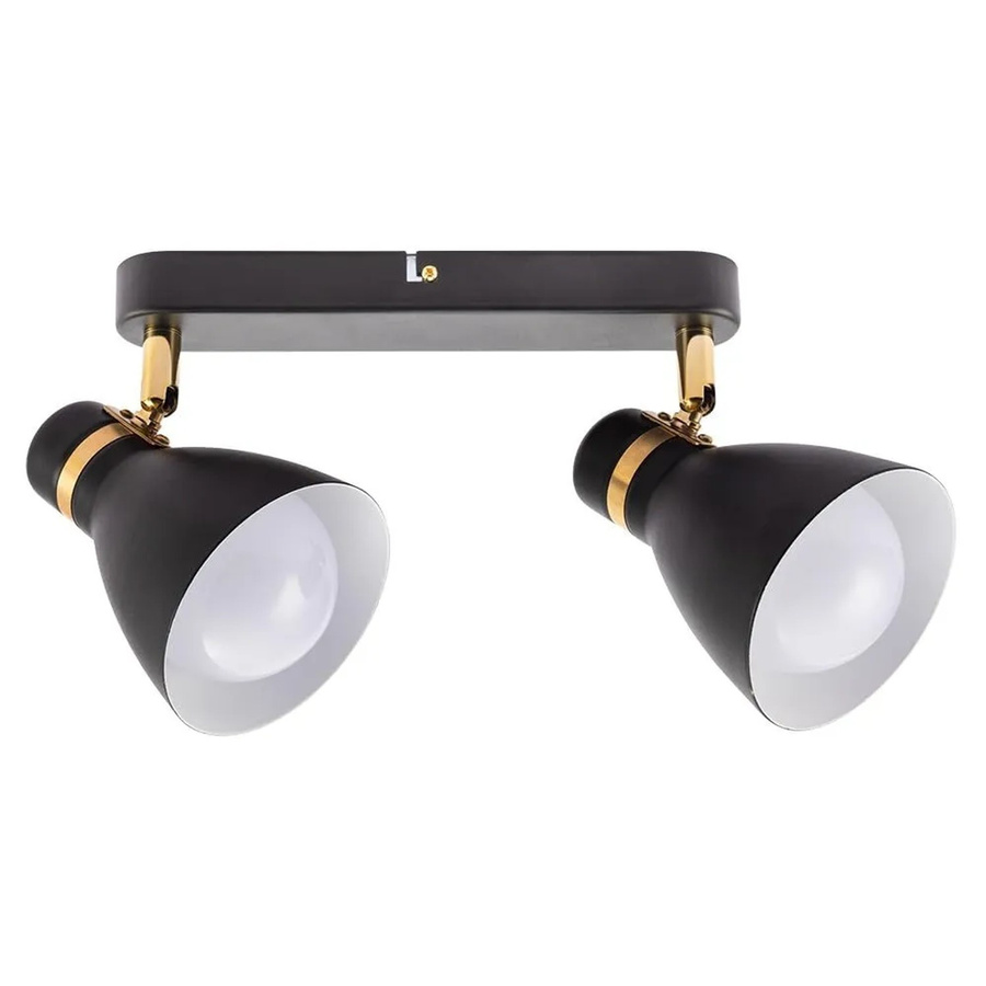 Arte Lamp Deckenstrahler Fafnir 2-flammig schwenkbar Schwarz E27 aus Metall - Bild 2