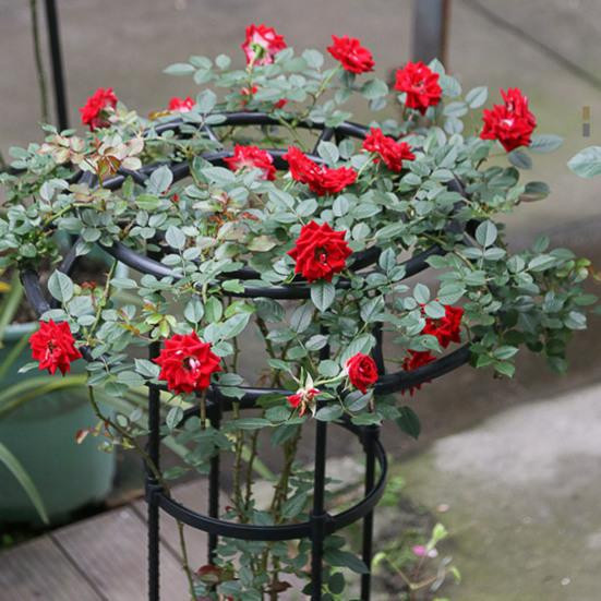 NexGoods Gartenlaube im Pilzkopf-Design als Pflanzenständer und Spalier für Kletterpflanzen, Weiß - Bild 3