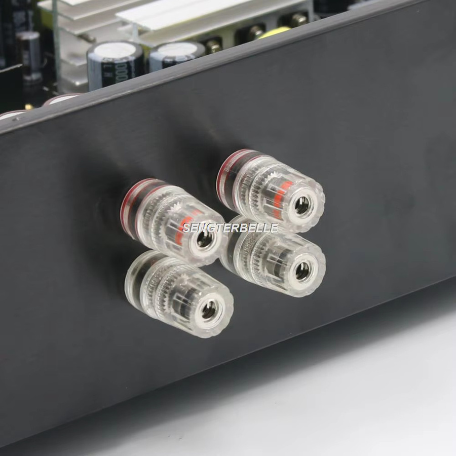SENGTERBELLE Hi-End Professional Class D Leistungsverstärker 2 Kanäle, 1000 W, Schwarz - Bild 2