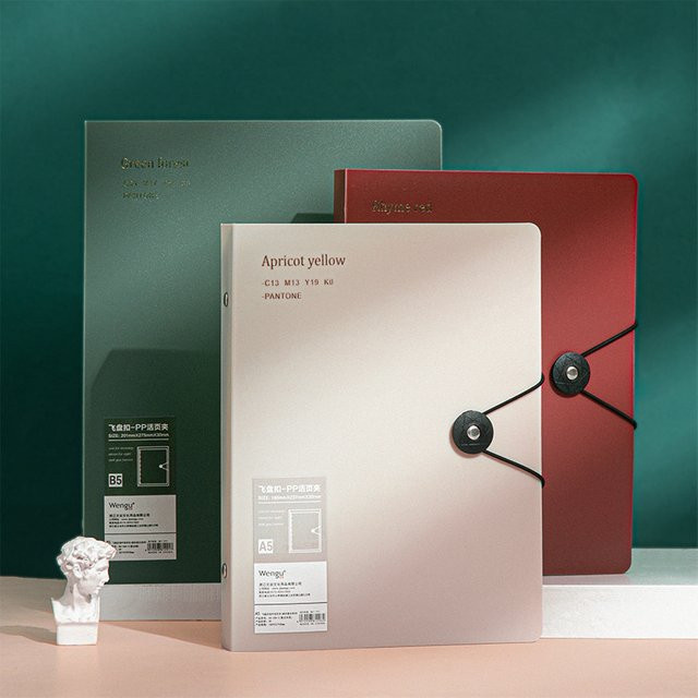 Abnehmbares Loseblattbuch im A5-Format mit Riemenordner und innerem Kern in Rot - Bild 1