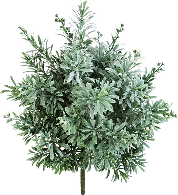 Künstliche Pflanze Aplanta Crossostephium Mara, Höhe: 38 cm - Bild 1