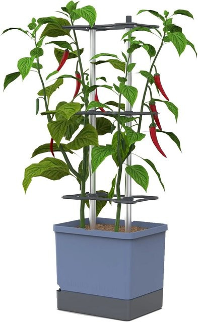 Gusta Garden Chilitopf Charly Chili Pflanzentopf mit Rankhilfe in Blau, Höhe: 105,4 cm - Bild 2