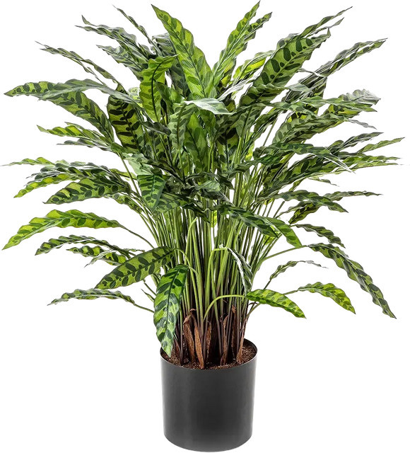 Künstliche Calathea Jane von Aplanta in Grün, Höhe: 88 cm - Bild 1