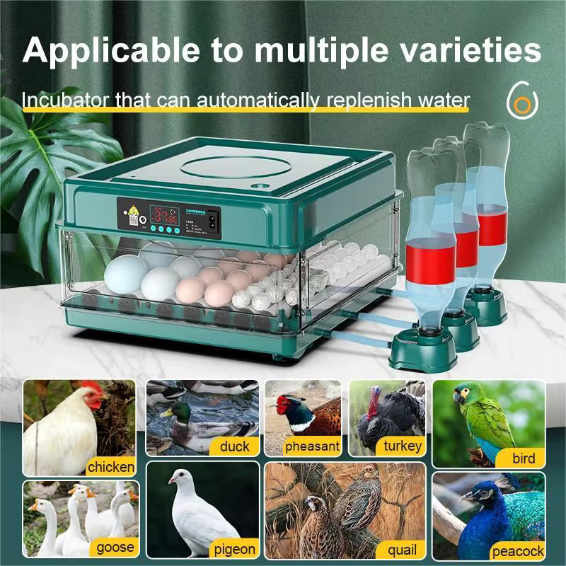 Bromose Vollautomatischer All-in-One Intelligenter Eierinkubator mit LED und Wasserschale zur Temperatur- und Feuchtigkeitsregelung inklusive Brutwerkzeugen für Hühner, Enten, Gänse, Tauben und Papageien - Bild 3