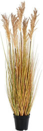 House Nordic Künstliche Sorghum-Pflanze in Natur, Höhe: 110 cm - Bild 1