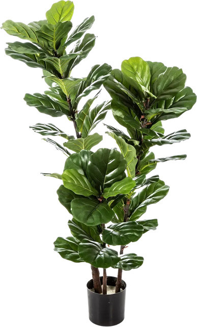 Künstliche Geigenfeige Lena von Aplanta, Höhe: 130 cm - Bild 1