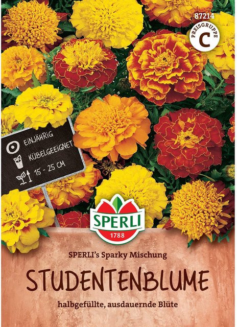 SPERLI Studentenblumen-Samen Sparky Mischung bunt - Bild 1