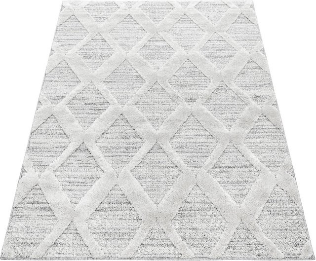 Ayyildiz Hochflorteppich Pisa in Grau im skandinavischen Stil, B/L: 200 x 290 cm - Bild 1