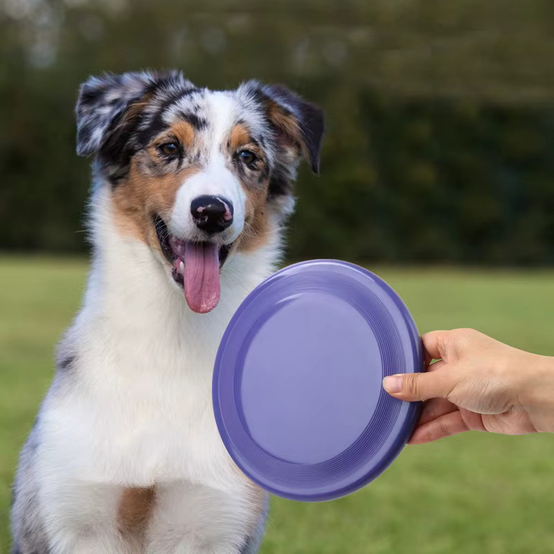 Otmagelu Fliegende Untertasse Hundespielzeug, 1-teiliges Set - Bild 3
