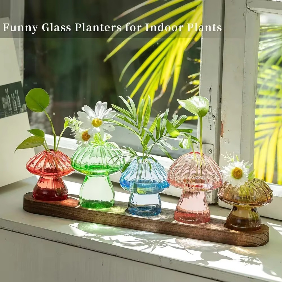 Glasseam Pilz-Pflanzenvermehrungsstation mit Glasvasen und Holzständer, hydroponisches Pflanzgefäß für Zuhause und Büro, transparent - Bild 3