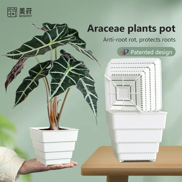 MESHPOT Air-Snitz-Pflanztöpfe für tropische Aroids, atmungsaktive Pflanzgefäße zur Wurzelkontrolle mit Entwässerung, Farbe: Weiß, B/T/H: 10,0 x 12,0 x 2,0 cm - Bild 1
