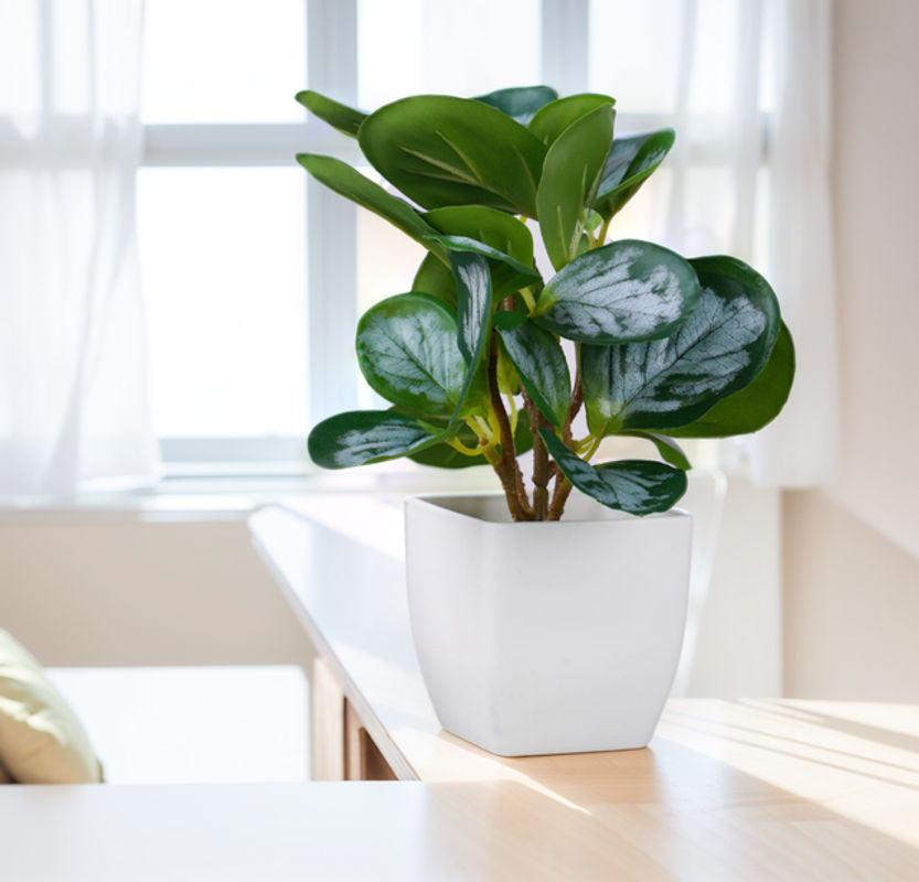 Uflower Künstlicher Bonsai in grünem Keramiktopf als minimalistisches Tischornament für dein Home Office oder Schlafzimmer - Bild 1