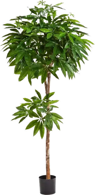 Künstliche Glückskastanie Owen von artplants in Grün, Höhe: 150 cm - Bild 1