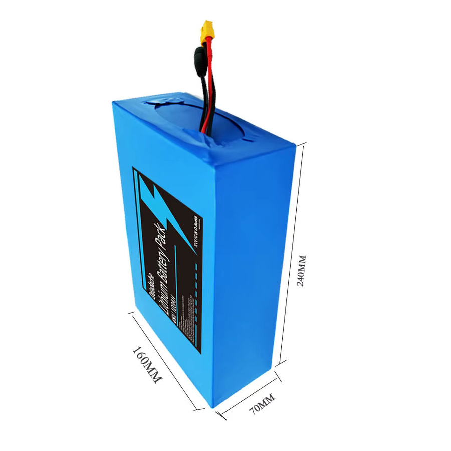 Ddadache Lithium-Akkupack 48V 40Ah mit 18650 Zellen und integriertem 50A 2000W Hochleistungs-BMS in Blau - Bild 3