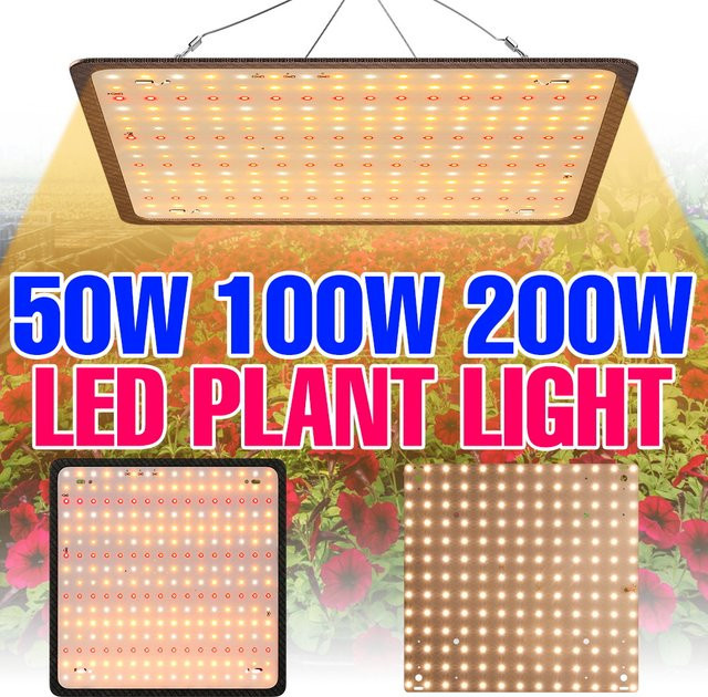 CanLing 200W LED-Wachstumslampe mit Vollspektrum-Quantum-Board für Hydrokultur, Gewächshäuser und Zimmerpflanzen - Bild 1