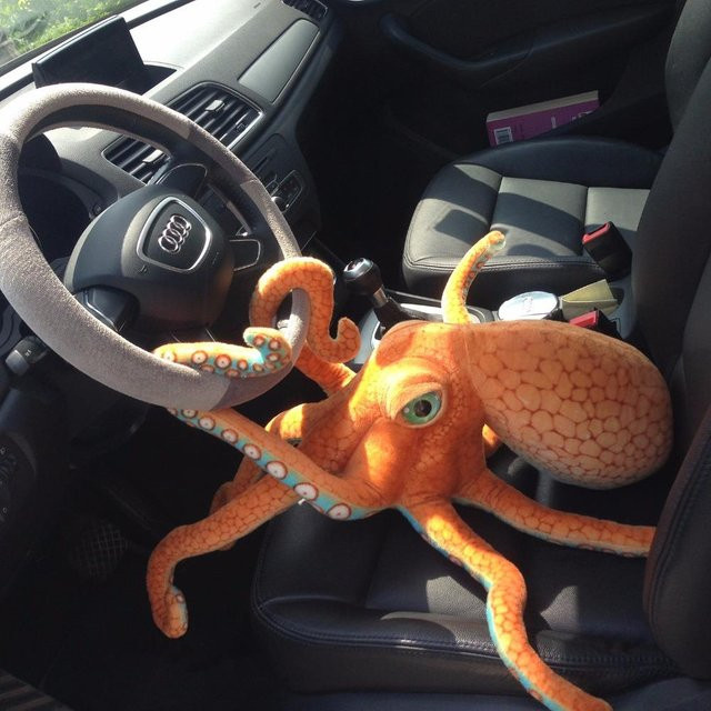 Binchi Fitness Großer Oktopus Plüschtier, Orange, 55cm - Bild 1