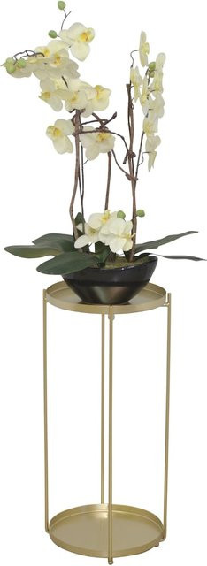 Blumenständer Iris XL von möbel direkt online aus Metall in modernem Design - Bild 1
