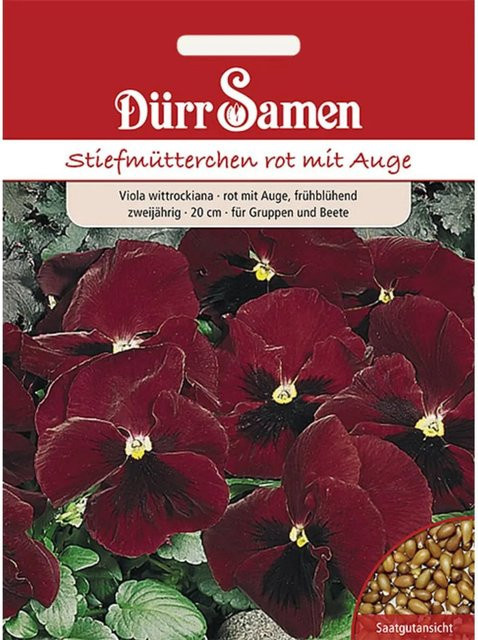Dürr Stiefmütterchen Saatgut Rot mit Auge Zweijährig - Bild 1