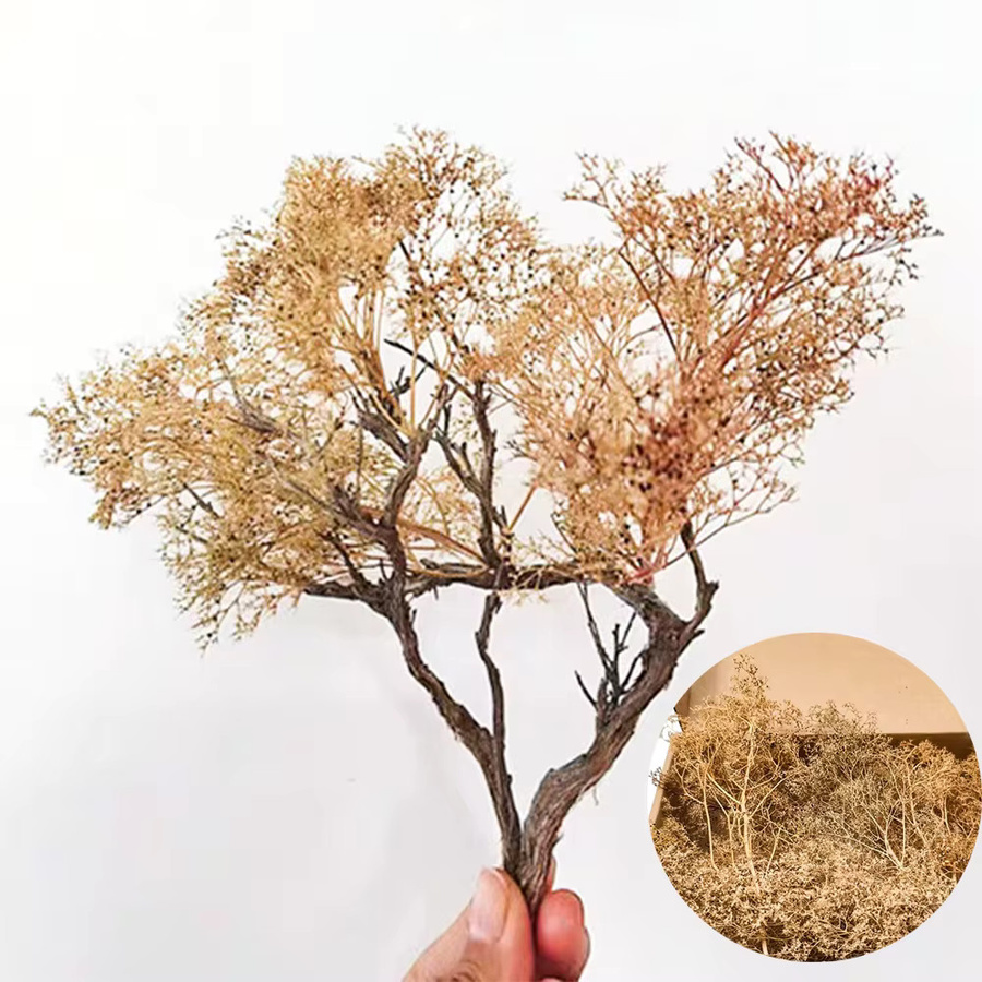 TERAYSUN Meeresschaum-Modellbäume, Thorny Quinoa-Vegetation, Natur, Grün, Braun - Bild 3