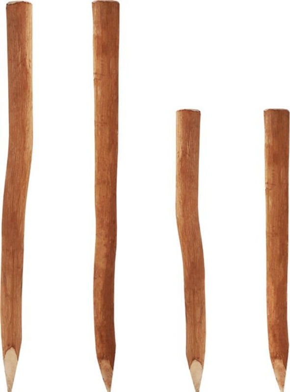 100 Aquagart Holzpfosten aus Haselnuss für Staketenzaun, Höhe: 150 cm, Durchmesser: 6-9 cm - Bild 1