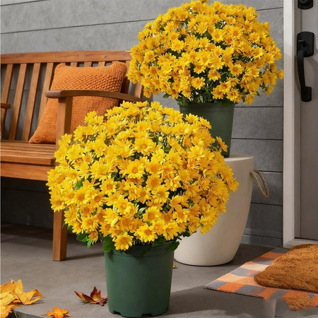 Künstliche Sonnenuntergangsblumen in Gelb als florale Dekoration für Außenbereich und Innenräume