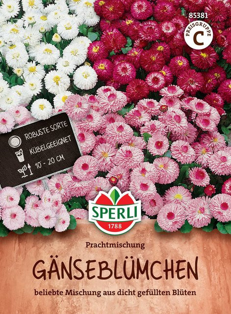 SPERLI Gänseblümchen-Samen Prachtmischung bunt in Weiß, Pink und Mehrfarbig - Bild 1
